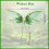 Thin Cicada Wing Costume Accessory Adjustable Set 3