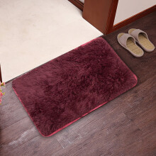 Soft Shaggy Rug for Indoor Use 16x24 Inches