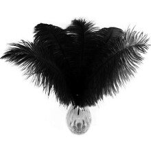 Ostrich Feathers Natural White 20 pcs 10-12 inch