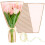 White Flower Bags Clear Front Plastic Sleeves with Ribbons 1