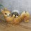 Squirrel Tape Cutter Roll Rack Desktop Decoration 8