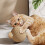 Cat Scratching Ball Rope Toy 4.72 inch 4