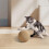 Sisal Cat Chew Toy 12 cm 5