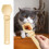Cat wet food squeeze spoon plastic 1 piece 3