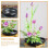 Black Floral Arrangement Pin Frog Round Shape 1 Set 5