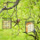 Outdoor Suet Cage Bird Feeder Single Cake Capacity 2PCS 5