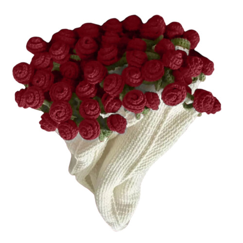 Crochet Kit Beginner Flower Bouquet and Throw Blanket Set 2