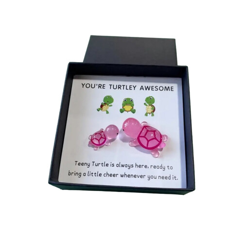 Pocket Hug Turtle Decoration with Greeting Card