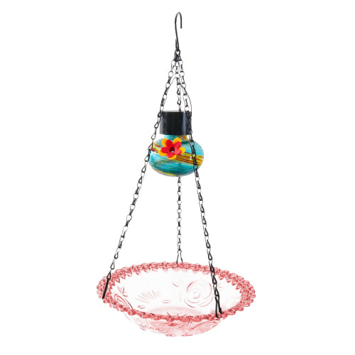 Solar Hummingbird Feeder and Bath 14.5 x 9 in 1