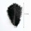 Ostrich Feathers Natural White 20 Pcs 10-12 Inch 2