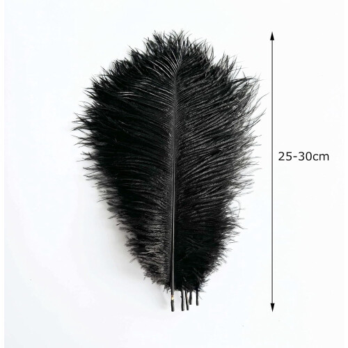 Ostrich Feathers Natural White 20 pcs 10-12 inch 1