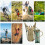 Outdoor Hydration Backpack 3L Green 4