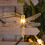 Luci a stringa LED solari per esterni, decorazione da giardino. 6