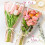 White Flower Bags Clear Front Plastic Sleeves with Ribbons 6