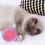 Cat Toys Flutter Balls Corrugated Paper 1 Pack 6