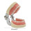 Soft Removable Tooth Model for Dental Veneer Preparation 4
