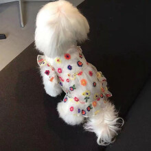 VĂŞtements pour chats et petits chiens - Printemps/Automne