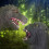 Orangutan vs Lizard Hand Puppet Rubber Soft Simulation 1 3