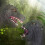 Orangutan vs Lizard Hand Puppet Rubber Soft Simulation 1 5