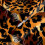 Μαξιλαροθήκες με μοτίβο λεοπάρδαλης, συσκευασία των 2 τεμαχίων 20x20 ιντσών 6