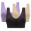 Women's Sports Bra Plus Size 3-Pack Wire-Free Support 2