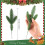 TETOU Artificial Norfolk Pine Branches Green Cedar Sprigs 2