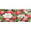 Red Fruit Strawberry Kitchen Curtains 24 Inch Short Tier 2 3