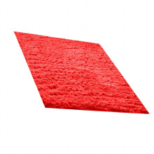 Soft Fluffy Shaggy Rug Non-Slip Rectangle 19.7 x 31.5 in Red