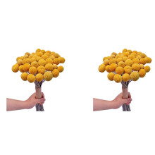 40X Natural Dried Flower Yellow Bouquet Bunch, Real Freshly Harvested Dried Plant Bunch, Decoration for Home Crafts