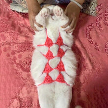 Cat Bikini Costume Handcrafted Funny Pet Clothing