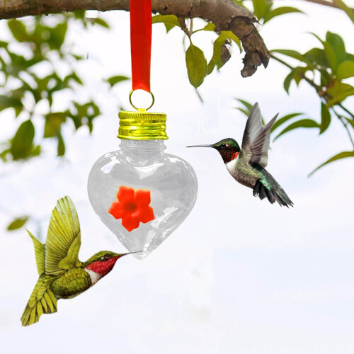 EARKITY Bird Buddy Feeder Jar Heart-Shaped Hanging