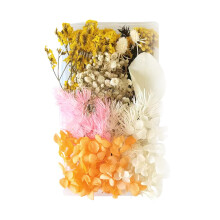 Small Dried Pressed Butterfly Sticker for Resin Crafts