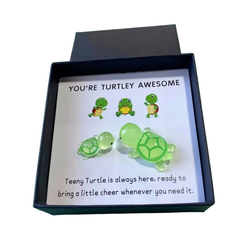 Pocket Hug Turtle Decoration with Greeting Card 1