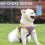 Cat Harness and Leash Set Adjustable Vest with Reflective 2