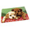 Dog Pattern Latch Hook Rug Canvas Kit for Adults and Kids 1