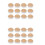24X Replacement Eyelids for Eyelash Mannequin , Eyelid with Eyelashes Extension Training Lash Mannequin 1