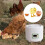 Electric Egg Incubator for Chicken Quail Duck 9 Eggs 7