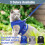 Cat Harness and Leash Set Adjustable Vest with Reflective 6