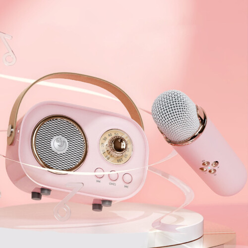 Φορητό ηχείο Bluetooth με μίνι μηχανή καραόκε 2
