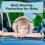 Baby Noise Reduction Earmuffs Comfortable Ear Protection 7