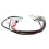 Engine Start Wiring Harness for 125cc–200cc Dirt Bikes 8