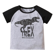 Kids Short Sleeve Dinosaur Print Top Grey 18-24 Months