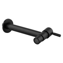 Stainless Steel Wall-Mounted Faucet for Outdoor Garden