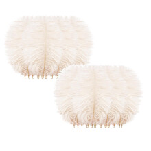 Colorful Plumage Decor Set 2 Pieces