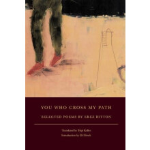 You Who Cross My Path by Erez Bitton Paperback Book