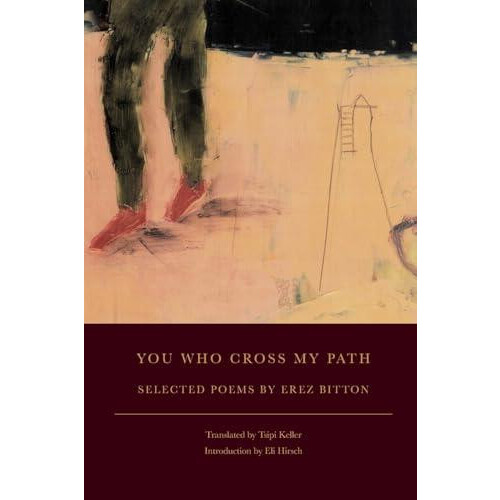 You Who Cross My Path by Erez Bitton Paperback Book