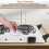 Electric Dual Burner Hot Plate 2000W 5-Temp Black 4