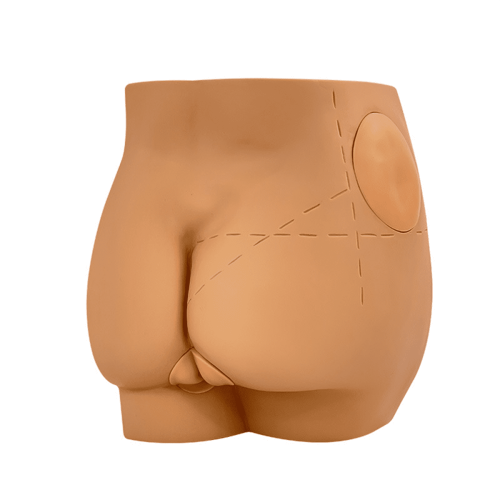 Human Hip Joint Intramuscular Injection Simulator 1