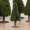 Cedar Tree Model Decoration Green Landscape 6cm 8cm 10cm 5