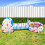 Kids Ball Pit Play Tent Blue Foldable Pop-up with Crawl 8